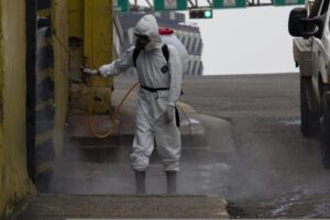 Deratyzacja we Wrocławiu – pozbądź się gryzoni raz na zawsze